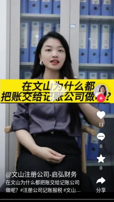 在文山为什么都把账交给记账公司做呢？